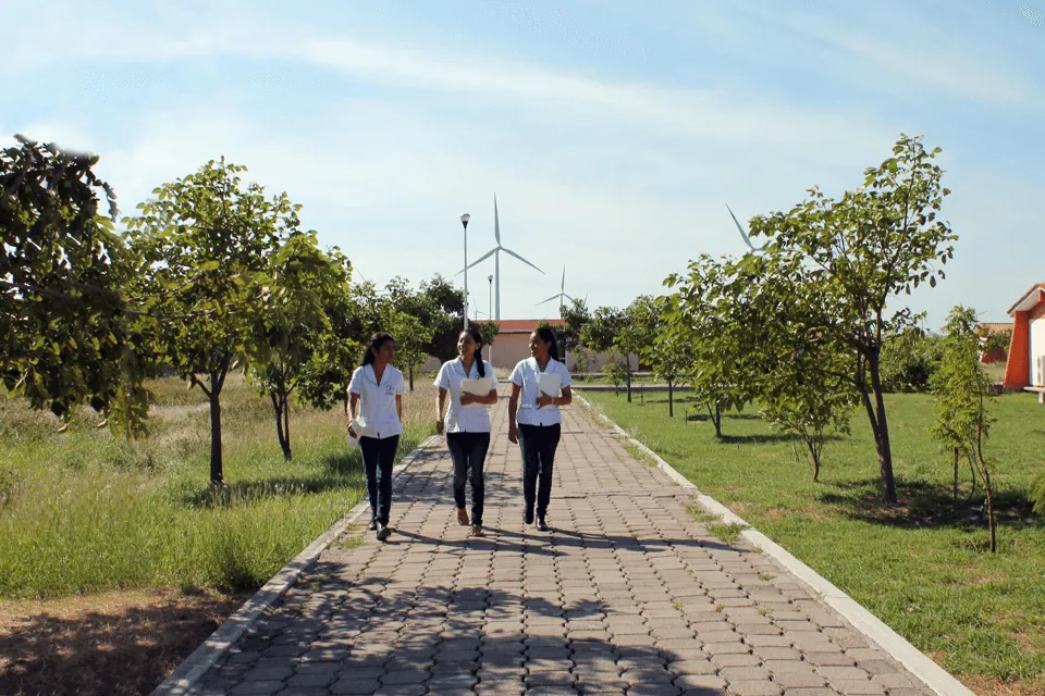 Imagen del campus
