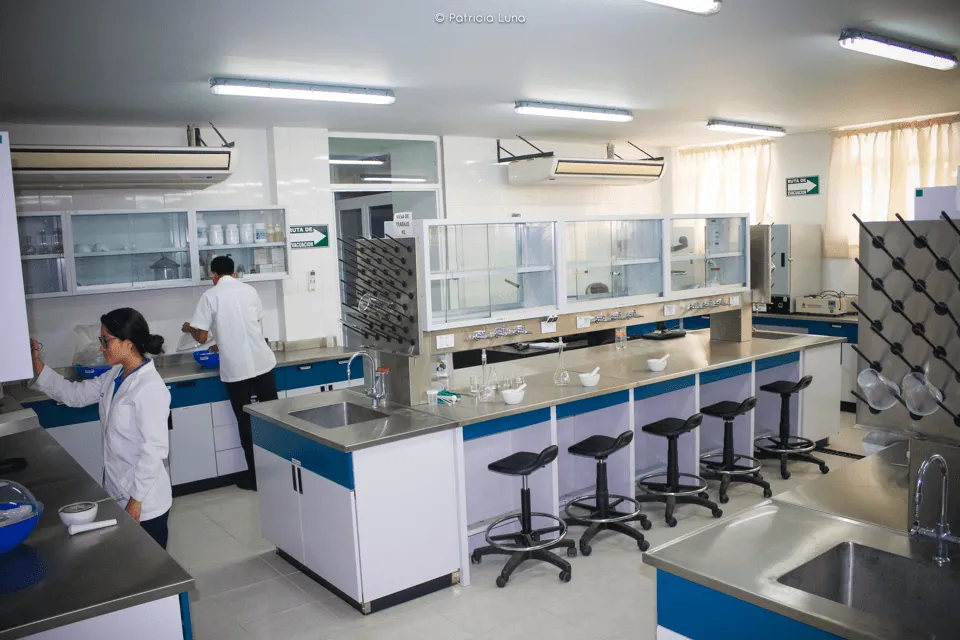 Imagen del campus