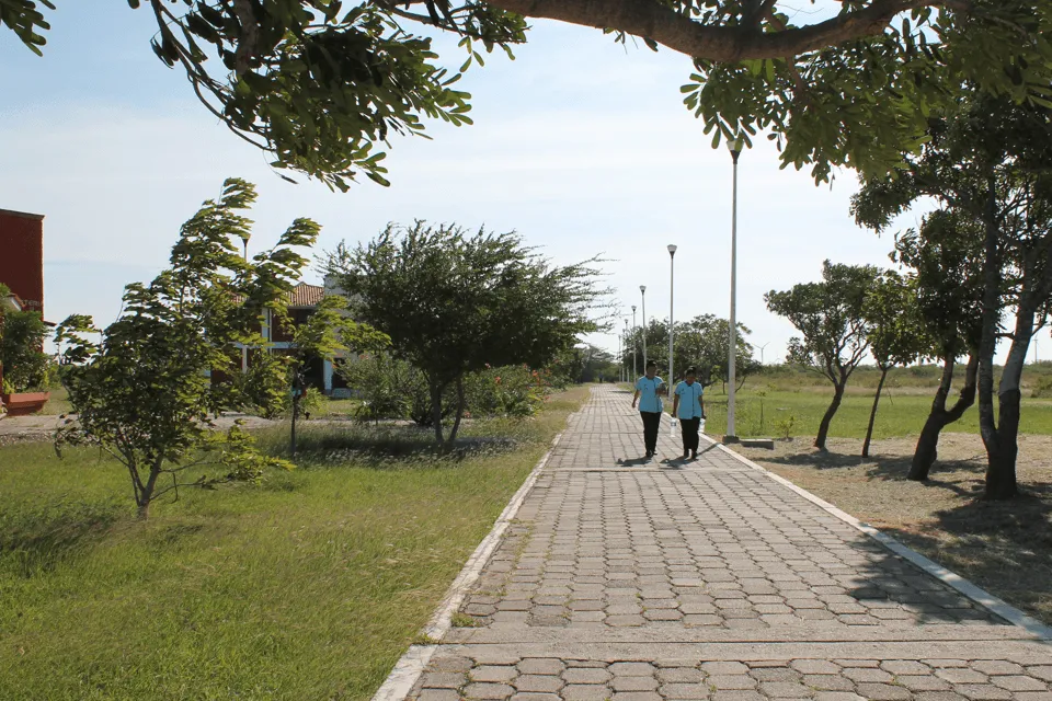 Imagen del campus