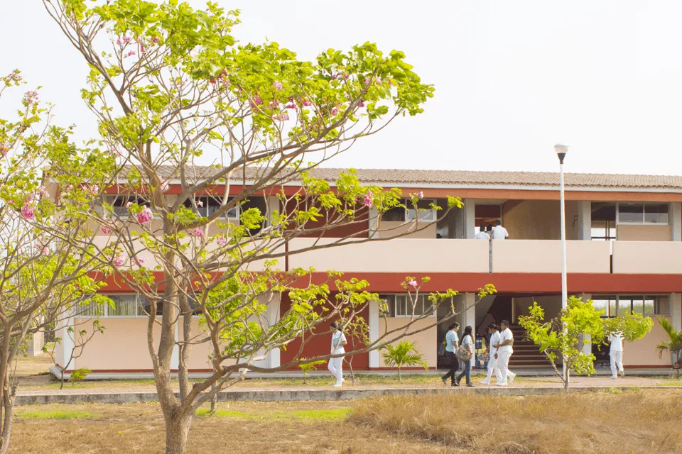 Imagen del campus