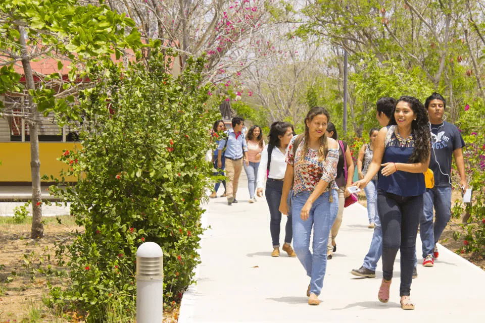 Imagen del campus