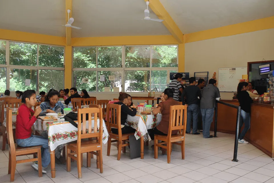 Imagen del campus